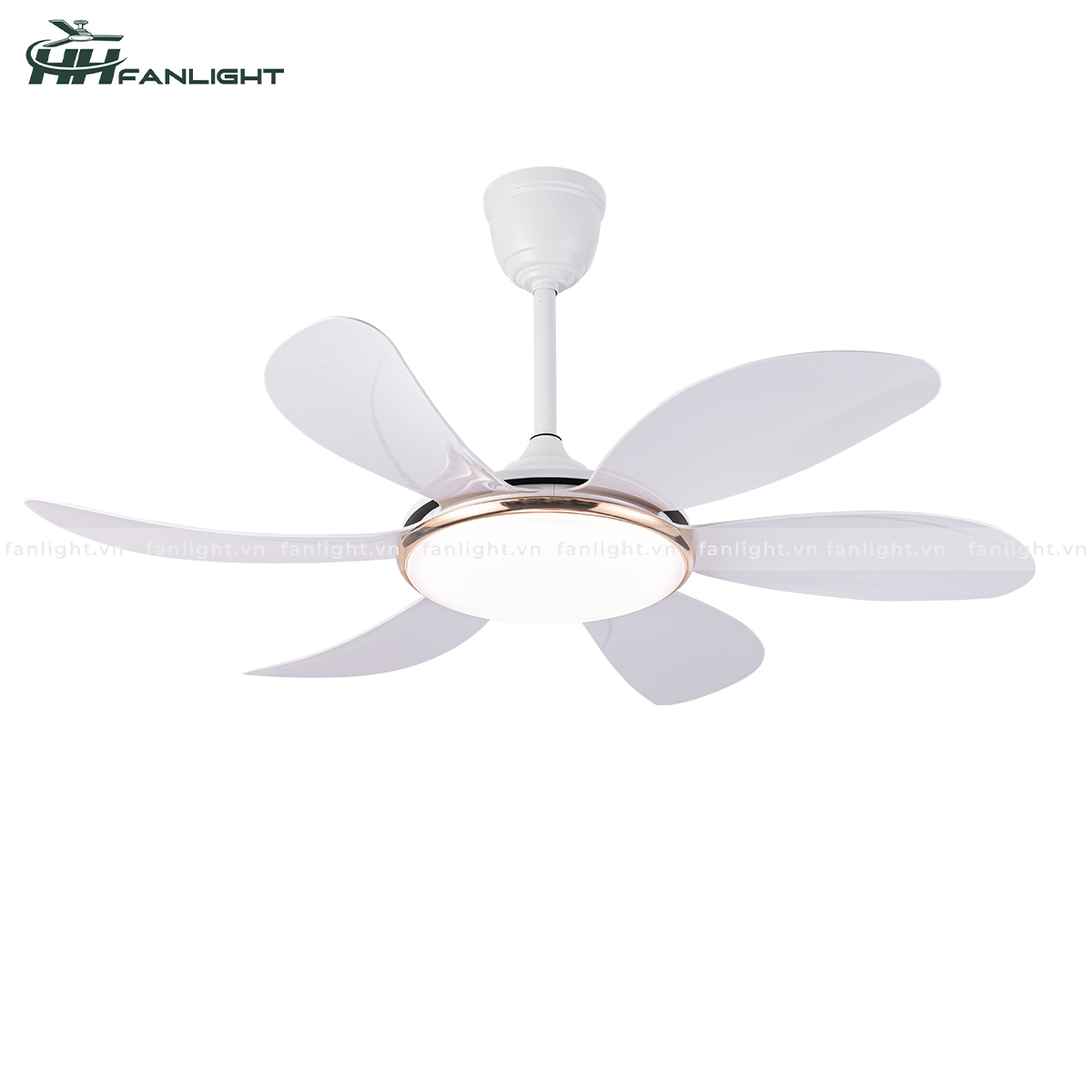 Quạt trần đèn hiện đại FL HD-602