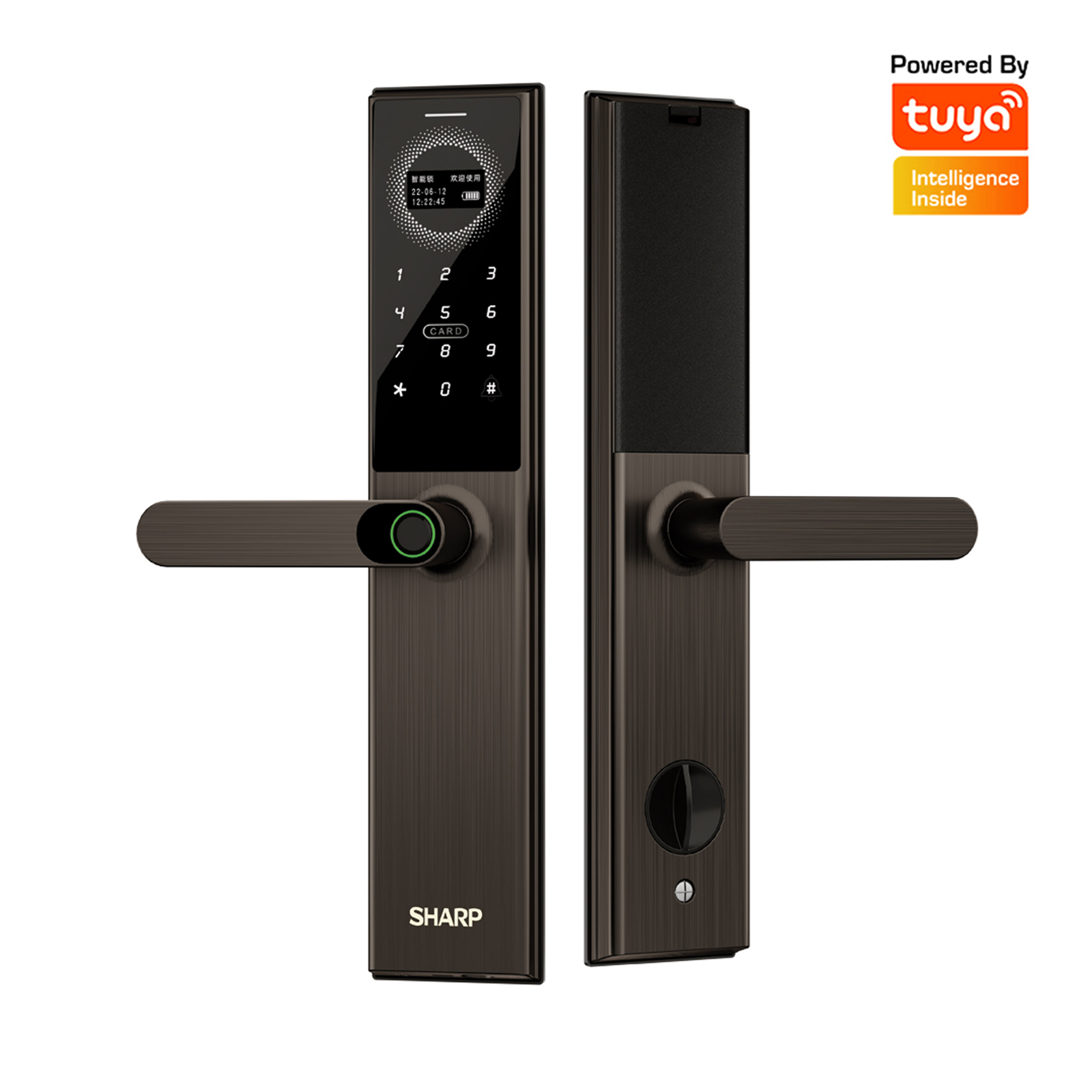 Khóa điện tử Sharp A3-B